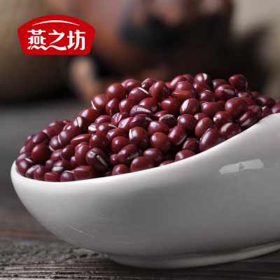 China Origin Dried Red Bean NON GMO Organic Kacang Merah Small Red Beans