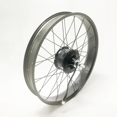 For G062/G063 Brushless 48V 750W-1000W 20-inch/24-inch/26-inch Hub Motor with Disc Brake FAT Design Rim Hub