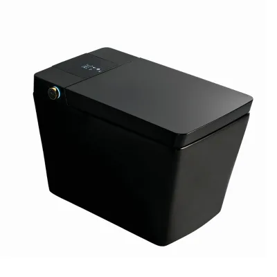 Luxury Bathroom Matte Black Ceramic Tankless Smart Toilet Intelligent