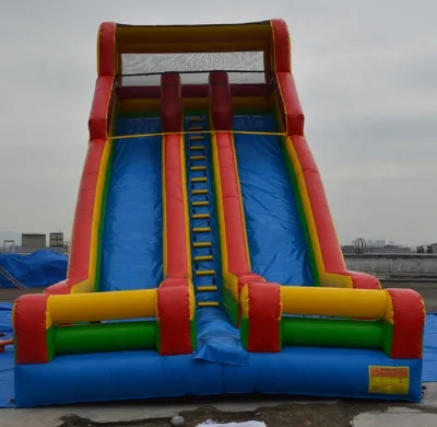 Varioius Design Funny Inflatable Water Slide/Inflatable Slide for Custom