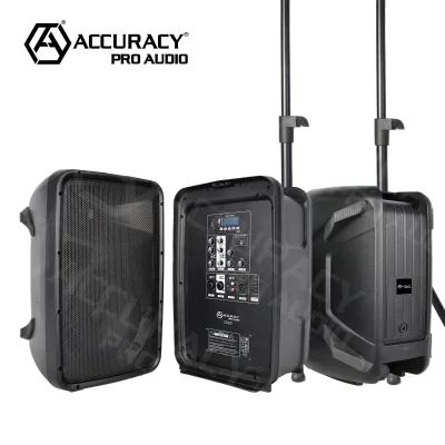 Accuracy Pro Audio ZS208 Compact PA System with Dual Mic Inputs, Individual EQ, and Wide Frequency Range