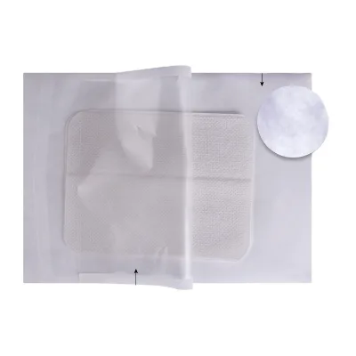 Customize Printed Medical Surgical Devices X RAY Sterilization Packaging Uncoated Tyvek Pouch