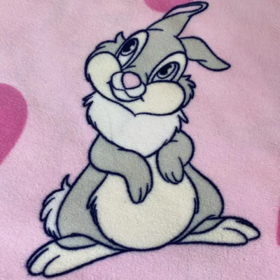 120 Gsm 100% Polyester Super Soft Velvet Custom Fabric Printing Cartoon Rabbit Baby Blanket Fabric
