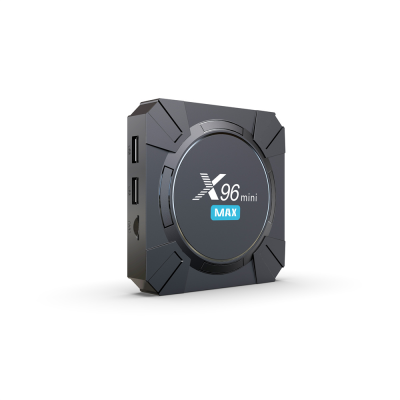 Hot Sell X96 MINI MAX Quad Core 2.4g 5GHZ DUAL WIFI 4k Android 14 Support OEM Brand X96q Smart Tv Box 2GB RAM 16GB ROM