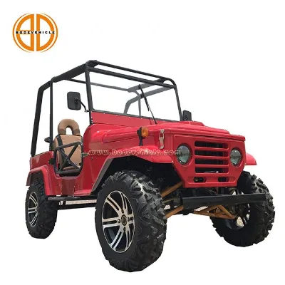 Newest 300cc 2 Seat Willys jeep UTV for Adult(MC-432)