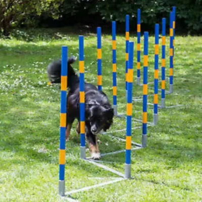 Professional High-Quality 12-Poles Folded Pet Dog Agility Training Slalom Equipment Weave Poles