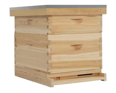 Bee Keeping Equipment Langstroth Beehive Unassembled Honey Bee Hive Box 2 Layers for Bees