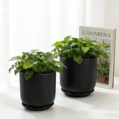 Factory Direct Sale Ceramic Minimalist Flower Pots Various Size Black Ceramic Flower Pots Wholesale Succulent Pots with Tray