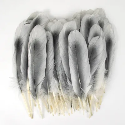 Wholesale Sale Latest Natural Dyed Bulk Goose Feather 17-21cm for Clothing Decoration Feather