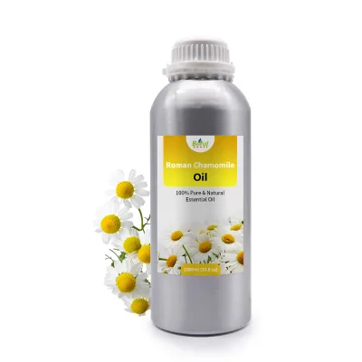 Wholesale 100% Pure Natural Roman Chamomile Oil Aromatherapy Essential Oils