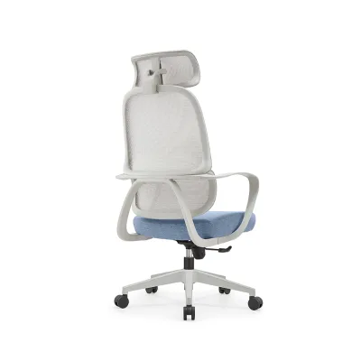 Factory Direct 180 kg Meeting Visiting Lumbar Support Swivel Ergonomic Chair Bifma Office Chair Gas Lift Manufacturers Foshan