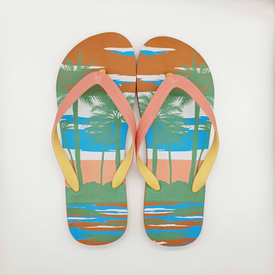 Beach Casual Sandals Shoes Men Flip Flops Latest Slides Rubber Flip-flops Anti-slip Pe Board Sublimation Flip Flops slippers
