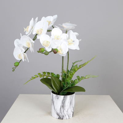 50cm Orchid Plants Flower Decoration Plants Home Decoration