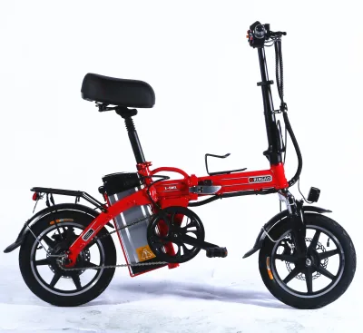 Best Quality Electric Bike 20 Inch 36V Electric City Bike 6/10/20//40AH Lithium Battery Electric City Bike