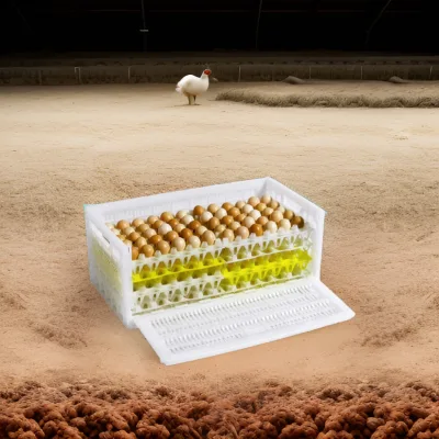 Portable Plastic Egg Crate Transport Boxes PP Material New Farm Use