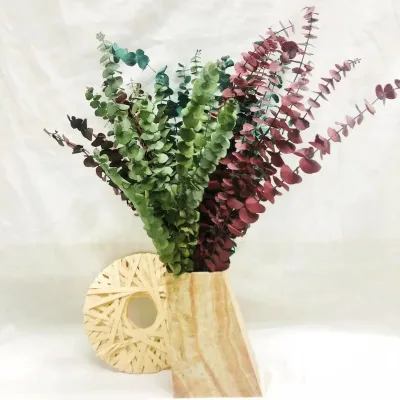 2022 High Quality Preserved Eucalyptus Leaves  Flower Bouquets for Home/wedding Decoration Flowers