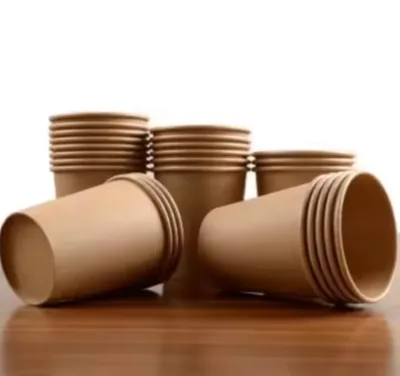 Goodsplus Compostable Paper Single Wallpaper Cup for Camping-Custom Wholesale Guangdong