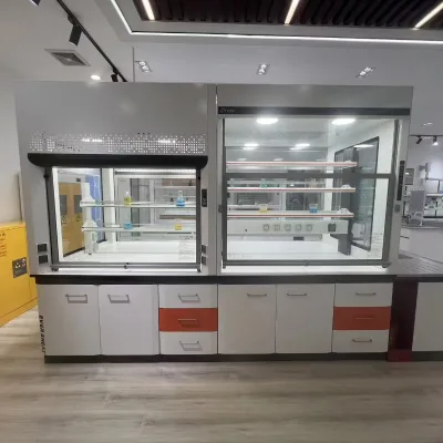 Chemical-resistant Iron Epoxy-coated Modern Multi-sided Fume Cupboards Workbenches for Laboratory Research Institute Factory