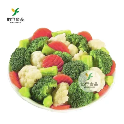 Wholesale Distribute IQF Frozen Mixed Vegetable Carrot Green Pea Green Bean Sweet Corn