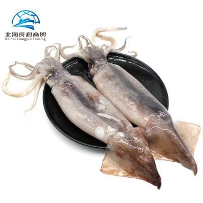 Good Quality Factory Price Vietnam Flavour Fresh Frozen Whole Round Squid Loligo Squid