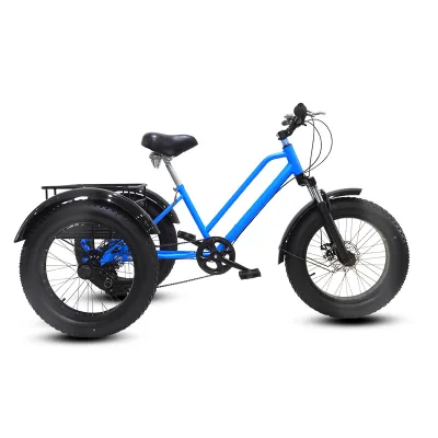 Adult 3-Wheel Trike with Steel Frame and Pedal Bike Features Cheap Shipping on Cargo Rickshaw and Fat Pedicab