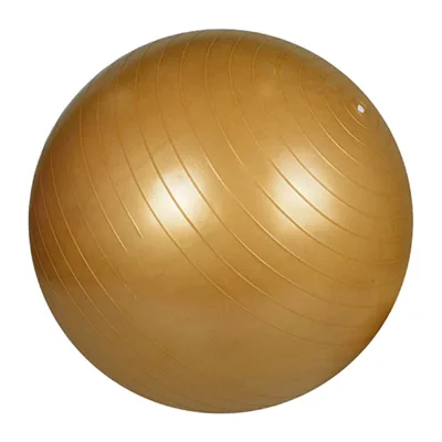 Hot Sale Anti Burst Balance Exercise Ball With Hand Pump Pvc Gym Yoga Ball Fitness
