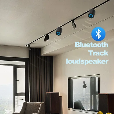 Multiroom Track Rail Speaker Special Configuration with Track Light Rail Mount