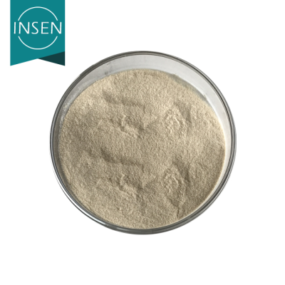 Insen Supply Best Price Natural Enzyme Acid Protease
