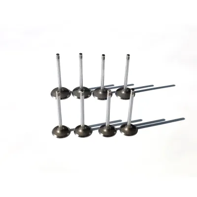 Cylinder Head Intake and Exhaust Valve Set for Jetski Seadoo GTX 4 Tec RXT 300 Engines New OEM 420253163 420254682