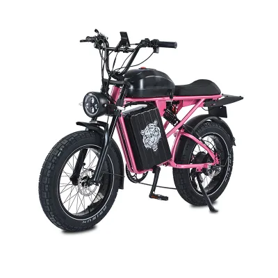 Factory Price CE Fast Delivery Wholesale Ebike 750w 1000w 1500W 26Ah Road Bike Bicycle Electric Bike