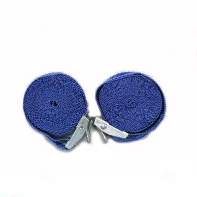 Hot Selling 1000lbslashing Strap Ratchet Tie Down Strap  Set with  Hooks for  Cargo Control and Sports