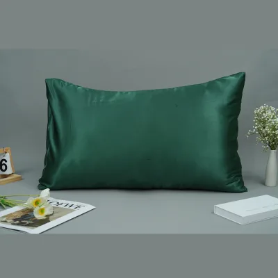 Modern Queen Size Plain Satin Silk Pillow Cover with Zipper Closure