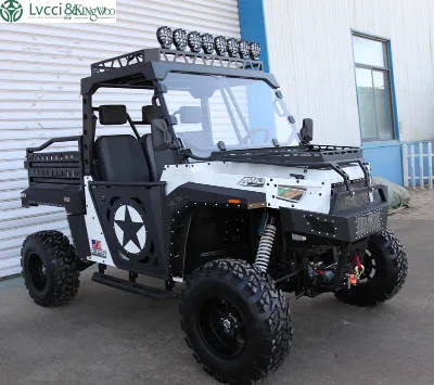 Differential Lock Equipped UTV 1000CC UTV Beast 1000