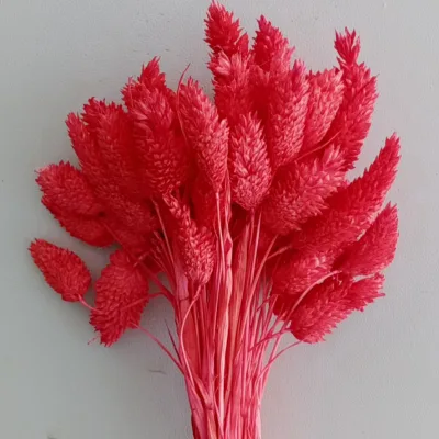 Natural Dried Plants Professional Manufacturer Dried Flower Bouquets Strawberry Different Types of Red Flowers Dried Flowers