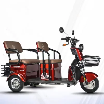 48V Electric 3-Wheel Tricycle for Adults Steel Frame Rear Hub Motor 3-Speed Large Cargo Space Power Supply-Lead-Acid Battery