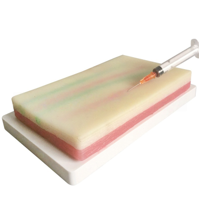 Silicone Model for Teaching Dermal Injections Essential Resource in Medical Education
