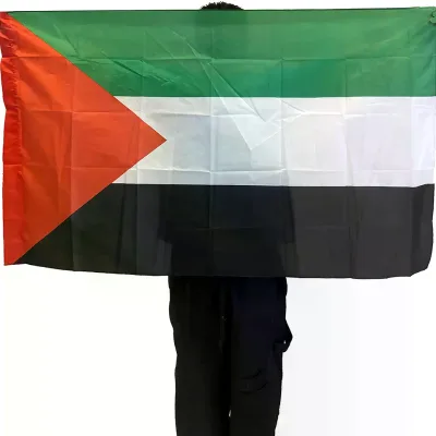 Wholesale Price Screen Printing Custom Flag Polyester World Flags Palestine Big Flag