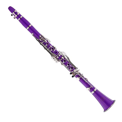 Seasound Factory OEM 17-Keys ABS Resin Purple Clarinet JYCL301PU Cheap Plastic Body with BB Tone