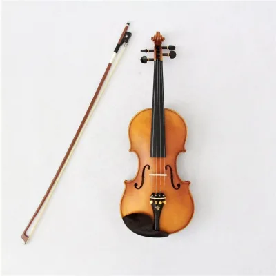 Wood Body Top Grade 4/4 Violin Instrument with case Violin for Sale Made in China High Quality OEM