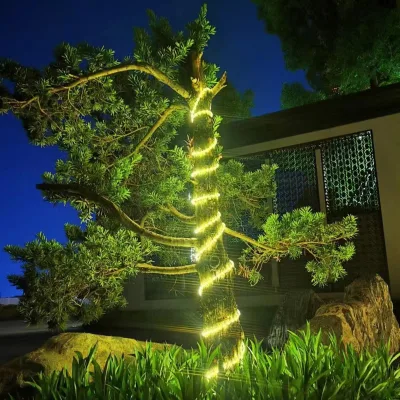 Solar Charger 10W Led Outdoor Solar Strip Landscape Lighting With Working Lighting > 12hours/night
