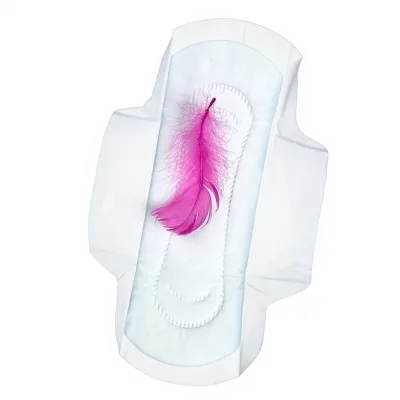 2026 Hot Sale High Quality Organic Sanitary Pad Private Label Natural Feminine Hygiene Flavored Sanitary Pads Napkin