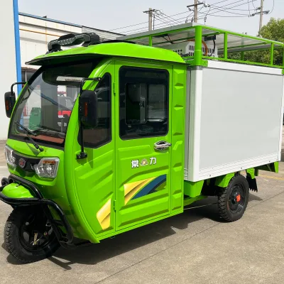 Changli Electric Delivery Van Refridgeted Cargo Tricycle Electric Closed Trike Three Regulate Temperature Ice Cream Tricyle