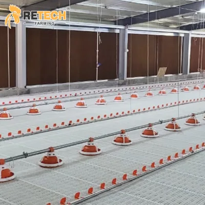 Automatic Poultry Farm Floor Raising Chicken Broiler Pan Feeder Poultry Feeding Tray