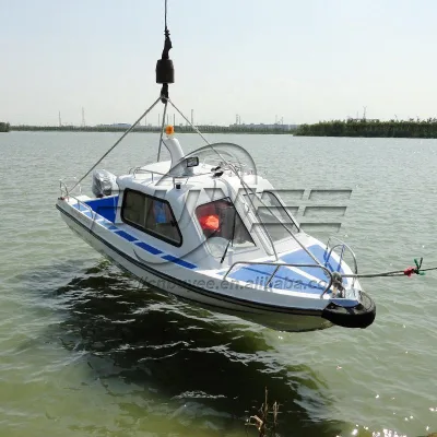 Most Popular Cheap 6-8 Seats Fishing Fiberglass Boat 19.6ft/6M Family Sightseeing Entertainment Boat