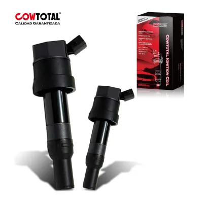 COWTOTAL Wholesale Ignition Coil 27301-04000 for Hyundai Kia