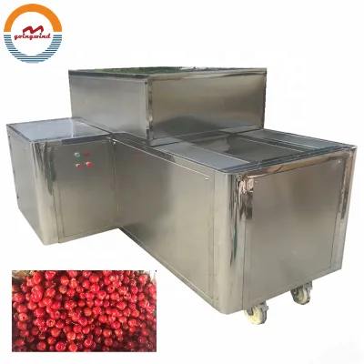Good Price Automatic Commercial Cherry Pitting Machine Auto Industrial Professional Electric Cherries Stone Pitter for Sale