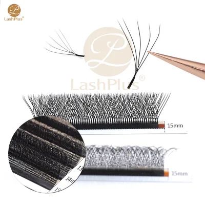 LashPlus 0.07 C CC D 7mm W Shape Eyelash Extension 3d 4d 5d Technology W Lashes Private Label