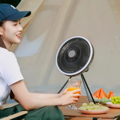 New F2 Multifunctional LED Light Ceiling Fan Timely Remote Control Outdoor Camping Style Pedestal Installation Plastic Car
