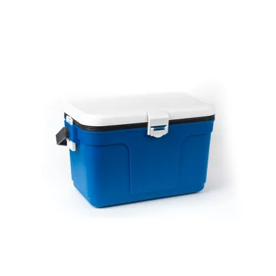 JinTeng Customized Fast Delivery 13L Multi-functional Cold Chain Storage Carrier Portable Small Freezer Plastic Cooler Box