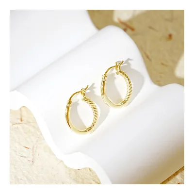 Minimalist Style 925 Silver Large Hoop Earrings Half Asymmetric Design Twisted Rope Shape Chunky Huggie Earrings for Women